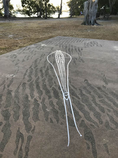 visible_invisible_-_diatoms_noosa_2017.jpg